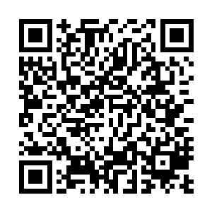 顾景和夏天祁一起离开的时候沈言已经拎着小李一起撤退了二维码生成