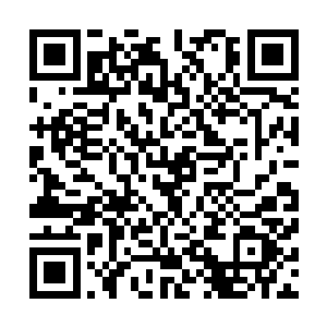 顾锦荣如今整日闷在书房抄金刚经……也没去七方胡同读书二维码生成