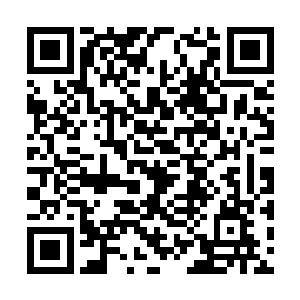 顿时一股刺痛之感让他瞬间将麻痹的神经统统恢复二维码生成