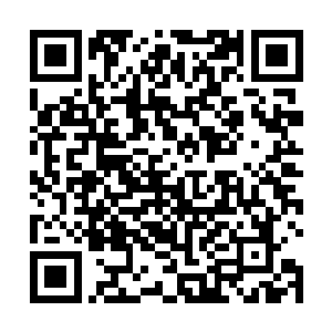 顿时一股巨大的吸扯力就从深海巨兽的血盆大口里传来二维码生成