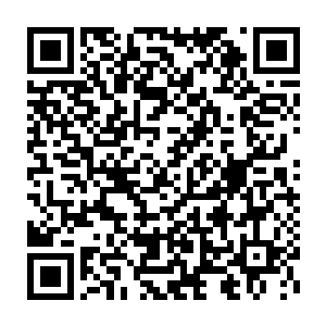 顿时一股无形无质的力量沿着那些碎掉的藤蔓直击在妖树的核心之处二维码生成