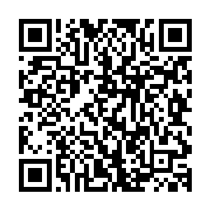 顿时一股熊熊的烈焰在他的掌心处升腾了起来的……不仅如此二维码生成