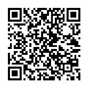 顿时便成为了彼岸教和许多大国眼中最不确定的风险因素二维码生成