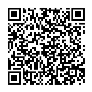 顿时倒吸了一口凉气……只见坚硬的红砖墙上留下了一个圆圆的弹孔二维码生成