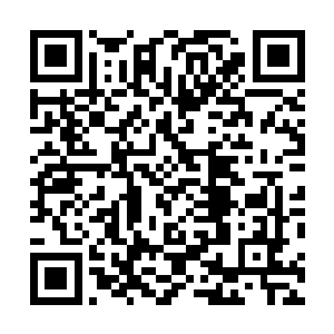 顿时各种各样的宝物林莽满目的出现在了杨戬的视线之中二维码生成