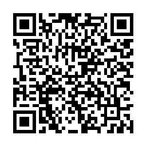 顿时就变得轻松了许多……这是海神殿的一件秘宝二维码生成