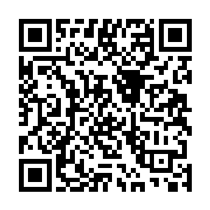 顿时就垮了下来……尽管这次的事故责任应该主要在对方二维码生成