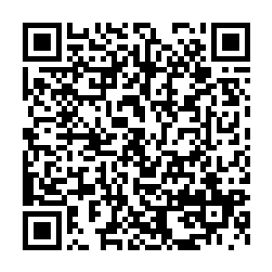 顿时就怒不可遏了……虽然他确实是他们这些人中最软的那个柿子二维码生成