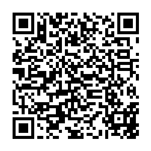 顿时就见到这两扇厚重无比的枣木大门轰的一声出现了三四道裂纹二维码生成