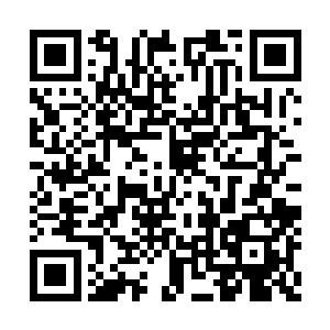 顿时张开那血盆大口朝着修罗和娜丽丝咬了过去二维码生成