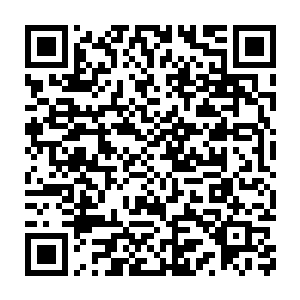 顿时忍不住发出了这样凄厉的惨叫声了……这里也不剩下什么活人了二维码生成