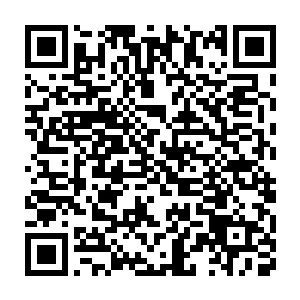 顿时气馁了……这个没有任何级别的新手……实力可比自己强多了二维码生成