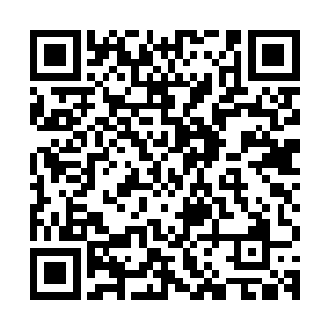顿时深渊魔族魔主全都陨落的消息也是很快在寰宇天界流传开来二维码生成