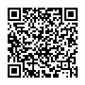 颈部两侧的三叉神经和中后部的脊椎神经全都被电击启动二维码生成