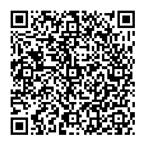 颗颗珍珠大小的珠子 在灵气海洋中闪烁着幽幽的光芒 虽然不如灵气那把璀璨 但气息却是格外的强盛二维码生成