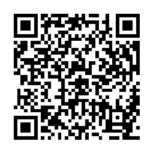 颜洛儿帮忙后就在自行修复的血幽紫和失去意识的流墨墨二维码生成