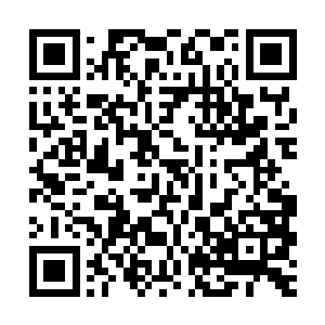 风天翔只要从中随意挑出一些传授给他们就足以他们受用一生了二维码生成