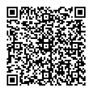 风清扬也不在催促 而是将他放开 任他去想 转瞬之间 他又看向其他两个金丹大能 咧嘴一笑 不言而喻二维码生成