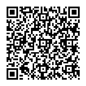 风清扬以一敌三 挥拳而上 犹如狂风暴雨一般的拳意 将他们狠狠镇压 简直是在吊打二维码生成