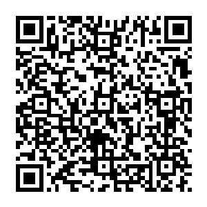 风清扬喃喃　这两族开战　不过是两个意志的较量　而他的目的　只不过是要取得界珠而已二维码生成