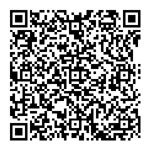 风清扬意念一动 丹田之处的青色小树顿时一摆 顿时将缩小了一圈的金色小人悬挂在其枝叶上 看起來就像是挂这一刻人参果二维码生成