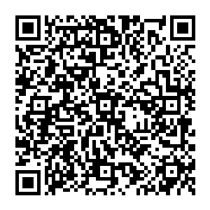 风清扬浑身一震在火凤凰颤抖的瞬间他内心当中便生出一股极大的不安似乎有什么紧张的事即将发生二维码生成