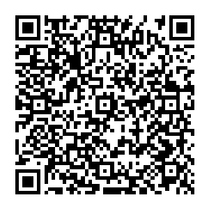 风清扬的出现很快便引起了这长老的注意不过他并未害怕只是冷哼一声脸色从容似乎早就有了准备二维码生成