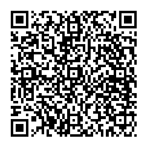 风清扬脸色越加冰冷　但依旧忍着　感受着上方生命的流逝　以及环绕在虚空的恐惧之气　他依旧一眼不不发二维码生成