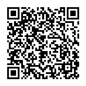 风语当初教给他的精神力使用方法中就有提到如何用精神力探路的二维码生成