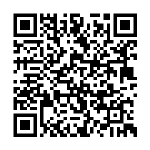 风轻云淡的模样和面前杀意凛凛的世界截然相反二维码生成