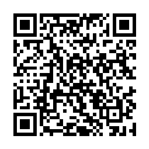 风逵和玄冰在帮忙整理他们等下要浸泡的浴桶和药材二维码生成