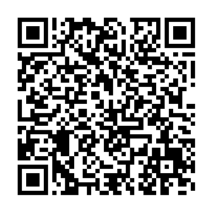 飞了两下就落在摊开的书本上一动不动的慢慢消化自己吸到的鲜血二维码生成