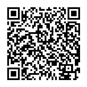 飞刀暗器的也往梓箐身上砸……梓箐索性就好整以暇的双手环抱胸前二维码生成