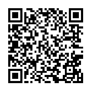 飞天独角魔的血统在深渊世界那可是绝对无比尊贵的存在二维码生成