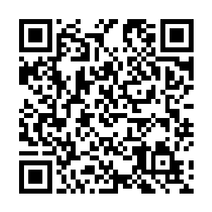 飞尸哀嚎一声其身体上被长鞭击中的位置出现深深血痕二维码生成