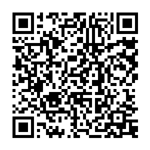 飞快地把这五个人投入卡片的竞标价格瞄了一遍……然后这一次就没有再等待了二维码生成