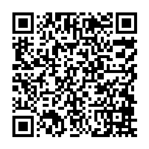 飞行变形机甲原本的优势就是远程攻击在三大基础机甲中是最为强大的二维码生成