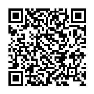 飞行的速度的确不是他们自己赶路的速度可以相比的二维码生成
