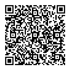 飞身闪动 第一颗灵石刚刚埋下 却听又是轰的一声传來 土石飞溅 白骨乱飞 一道朦胧的身影自其中瞬间飞出二维码生成