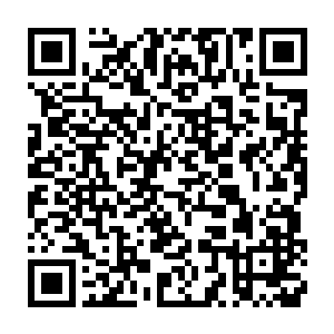 食物供应组则在找着好位置摆设那一张将会放满各种小食的大桌子二维码生成