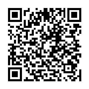 餐厅经理用半生不熟的英语混着德语和洪涛确认了好几遍二维码生成