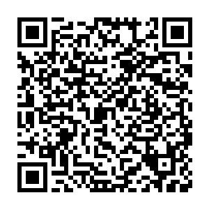 饶是他们这样的年纪做这等残忍事情的时候也会稍微眨一下眼睛的吧二维码生成