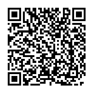 首先会由坐在散席里的各地学子与青藤诸院的学生进行指导性质的对战二维码生成