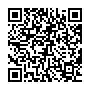 首先要确定云起舞和南寻风到底是不是真的安然回到了凤麟城二维码生成