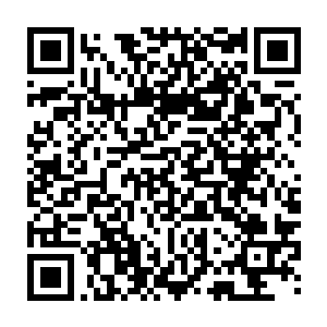 首发视频下面的留言区已经从他最初刚到看到时的七百多条留言冲破一万二维码生成