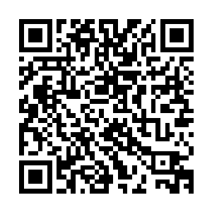马文瞄了一眼老半身人手指上带着的那些看似黯淡无光的戒指们二维码生成