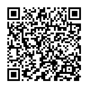 骨皇手中的巨锤也是一下接一下连续不断的砸在了那已经变得如同肉饼一样二维码生成