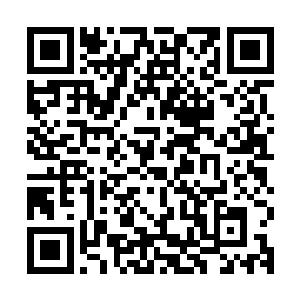 骨盾发挥出的巨大作用让杨开也清楚地认识到了玄级秘宝的强横二维码生成