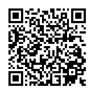 骸骨巫妖――伊利里欧在主物质世界可是棘手与死亡的代名词二维码生成