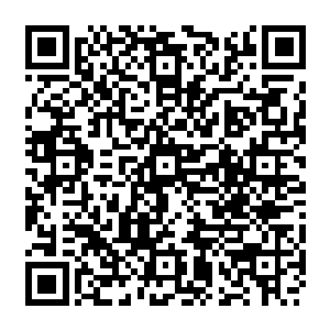 高手就这样陨落了让他们连救助的机会都没有顿时让他们感觉到一种不真实的感觉二维码生成